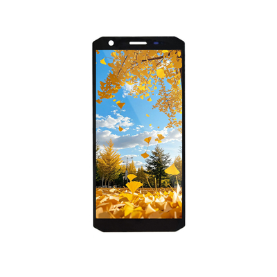 Хорошая цена. 5,45-дюймовый TFT LCD дисплейный модуль 720x1440 MIPI интерфейс онлайн